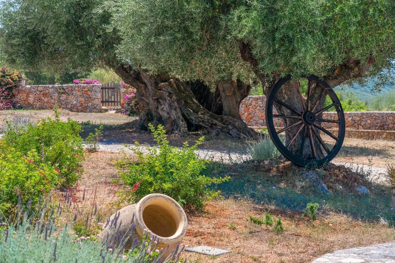 Blue Horizon Cottages Tzamarelata 빌라